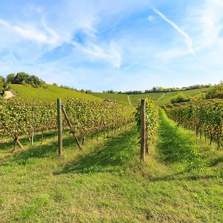 In Near Serravalle Outlet *